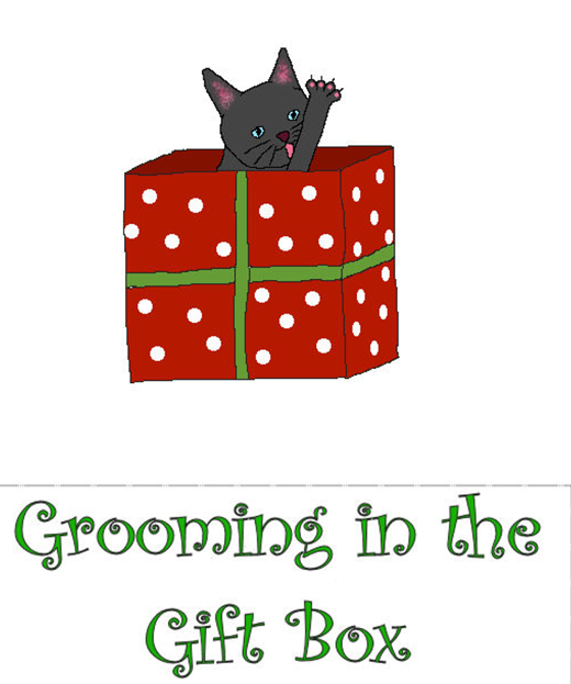 Christmas expansion card: Grooming in the Gift Box